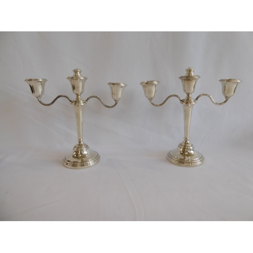 Lot 25        