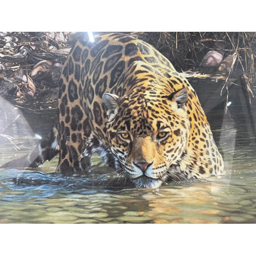 46 - Simon Combes Signed Ltd Edn Print Of A Leopard With COA