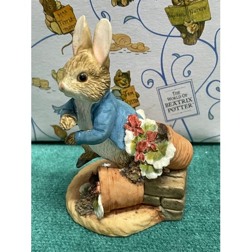 12 - The World Of Beatrix Potter 'Peter Rabbit With A Plant Pot' By Frederick Warne