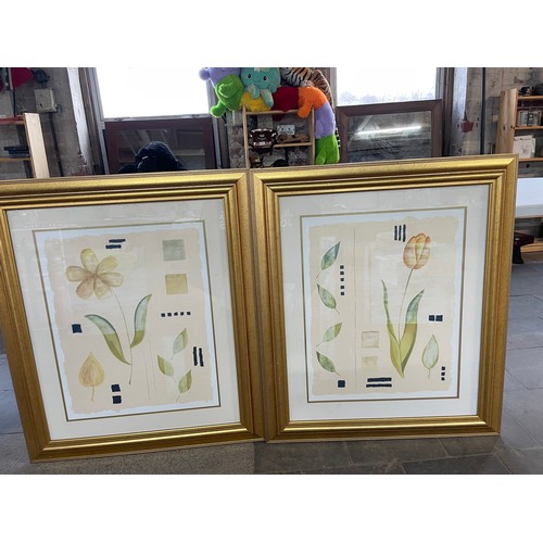 161 - 2 x large Framed Flower Prints