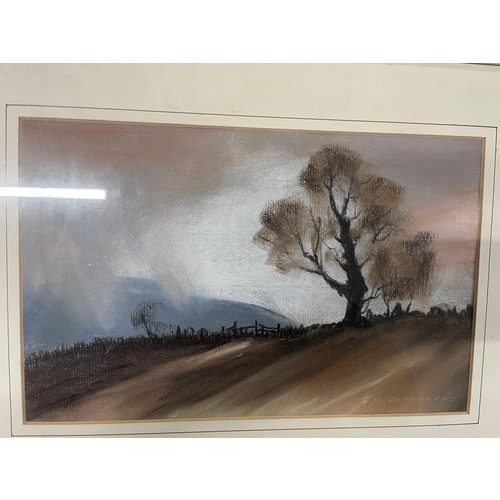 41 - Signed E.M. Dombrennand Pastel