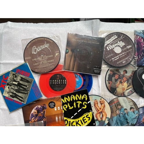 51 - Selection Of Vinyl Picture Singles, Inc Blonde On Blonde, Alkaline Trio, Whitesnake, Madness ETC