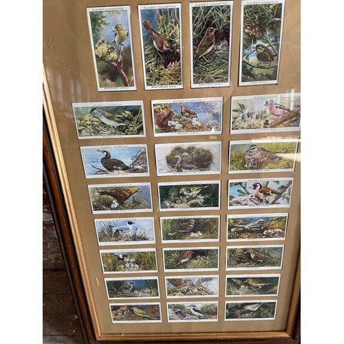 249 - 2 x Players Framed Birds Card Collections