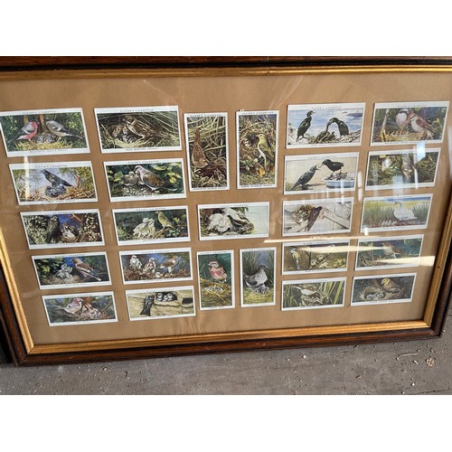 249 - 2 x Players Framed Birds Card Collections