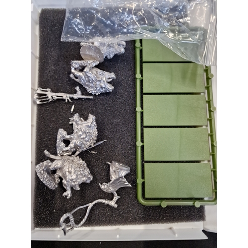 93 - kings of war - goblin mawbeast pack - metal new