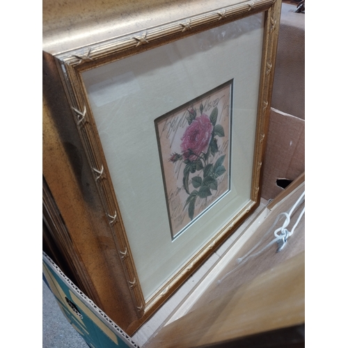 149 - Selection of Framed Prints in Gold Picture Frames