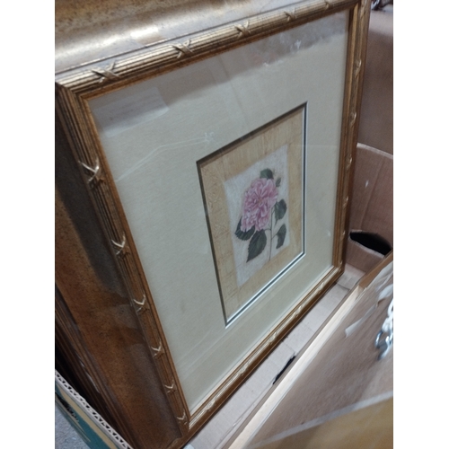 149 - Selection of Framed Prints in Gold Picture Frames