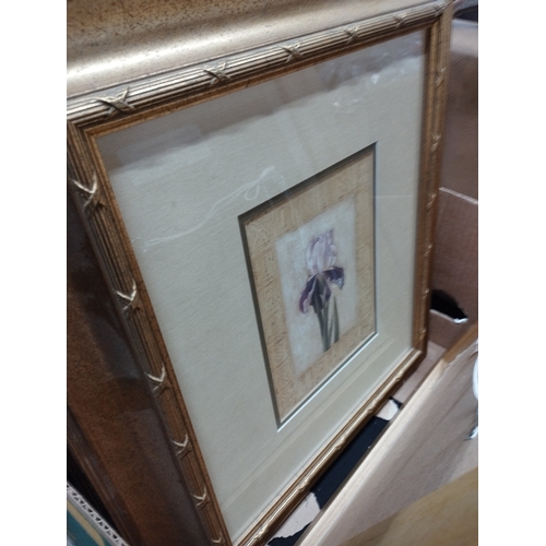 149 - Selection of Framed Prints in Gold Picture Frames