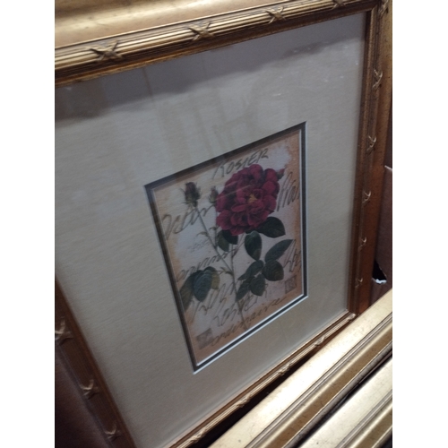 149 - Selection of Framed Prints in Gold Picture Frames