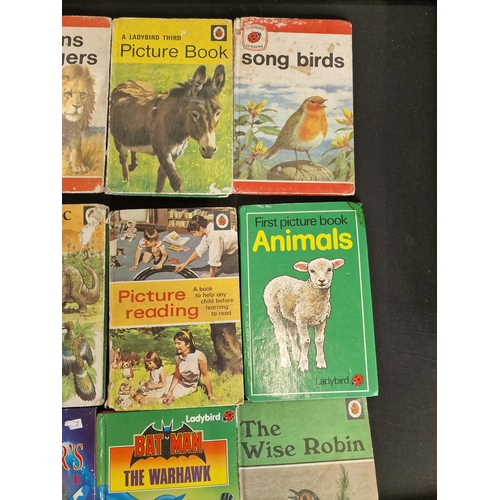 231 - 17 vintage lady bird books