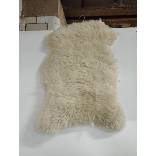 323 - Thick Real Hide Medium Size Sheepskin Rug