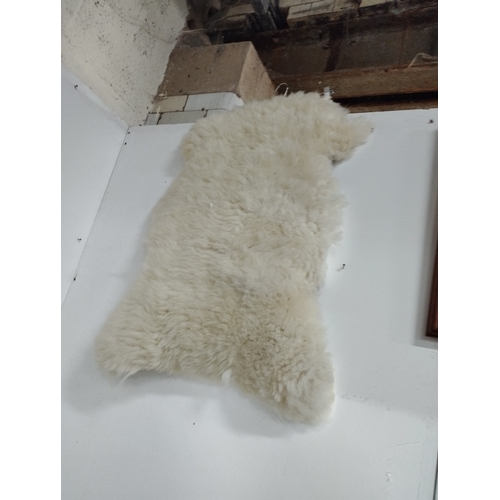 323 - Thick Real Hide Medium Size Sheepskin Rug