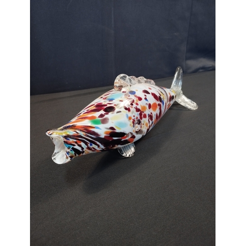 14 - A Large Murano Glass Fish Multicoloured on White. Approx 35cm Length