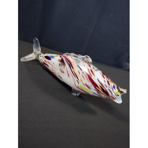 14 - A Large Murano Glass Fish Multicoloured on White. Approx 35cm Length