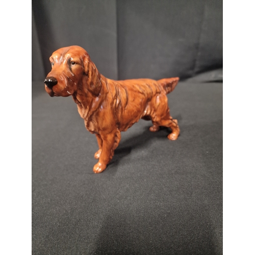 45 - Royal Doulton 1055 Red setter