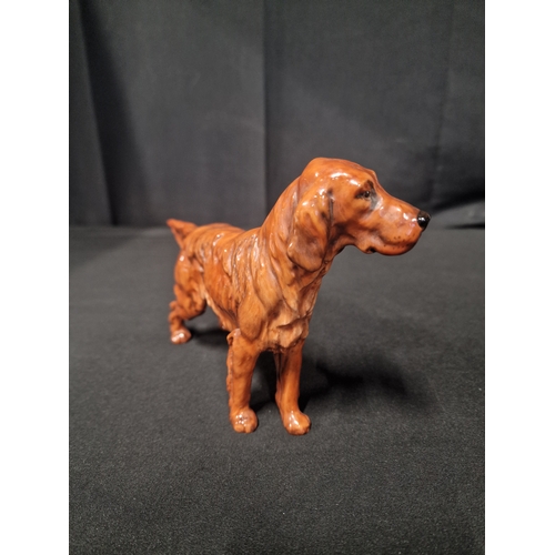 45 - Royal Doulton 1055 Red setter