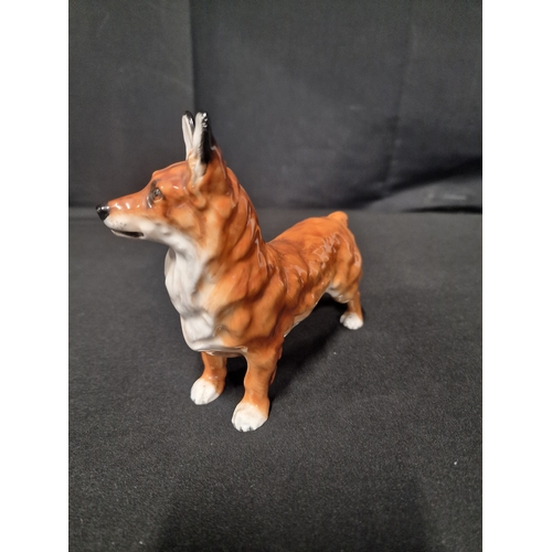 46 - Royal Doulton Corgi no.2551