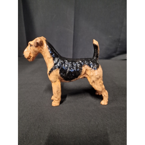 57 - Royal Doulton Airdale Terrier approximately 17x15cm