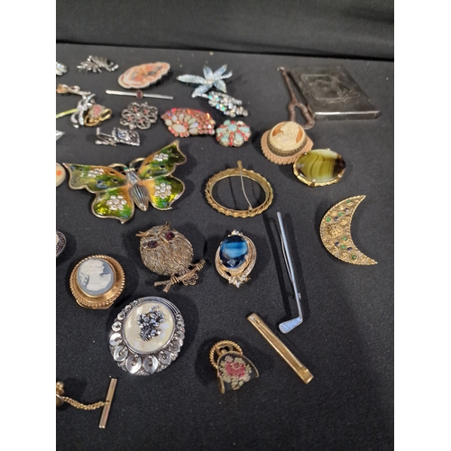 113 - A collection of mainly vintage brooches, tie clips and lapel clips and other vintage items