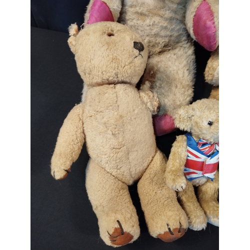 143 - Selection of Vintage Collectable Teddy Bears