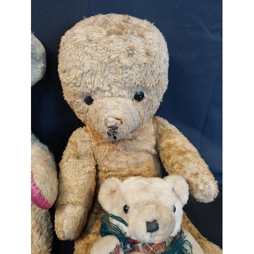 143 - Selection of Vintage Collectable Teddy Bears