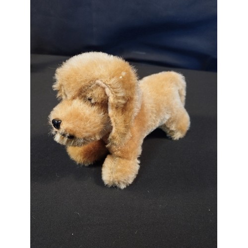 154 - Four Vintage Steiff Mohair Dogs inc 1960's Dachshund with Tag