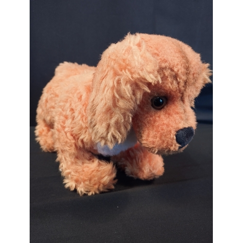 168 - Four Vintage Steiff Dogs inc Orange Plush and Mopsy Mohair with Tag.