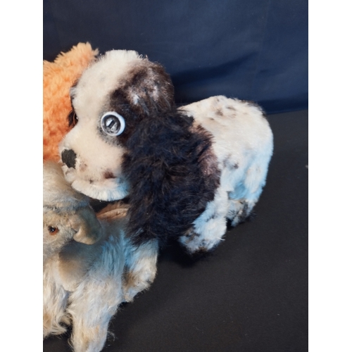 168 - Four Vintage Steiff Dogs inc Orange Plush and Mopsy Mohair with Tag.