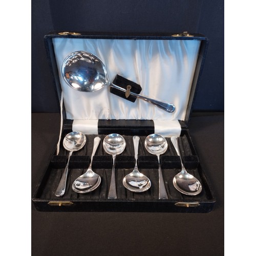 219 - Vintage Silver Plated Fruit Spoons & Server Set. EPNS Super A90 Made in Sheffield.