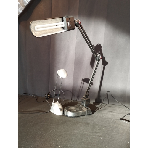 31 - Two Adjustable Desk Lamps