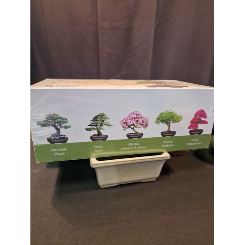 125 - A brand new BONSAI tree kit with 5 varieties.of bonsai.  Includes 8 different sizes and shapes of bo... 