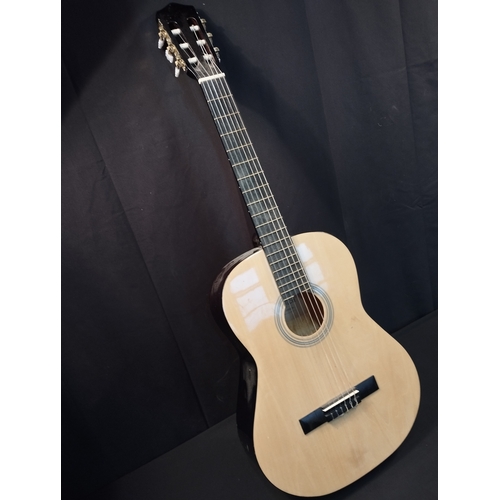 125 - Elevation Acoustic Guitar.