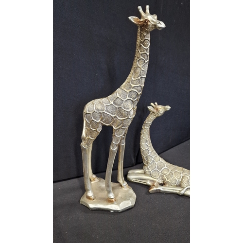 307 - Two gold glitter effect finish Giraffes