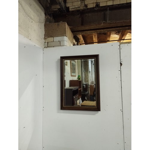 335 - Wall Hanging Mirror. Approx. 84x61cm