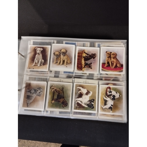 368 - Selection of Vintage Collectable Cigarette Cards in Display Folder. Brands include John Player, Will... 