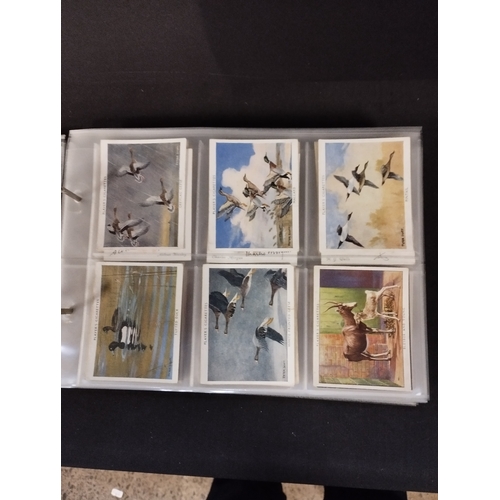 368 - Selection of Vintage Collectable Cigarette Cards in Display Folder. Brands include John Player, Will... 