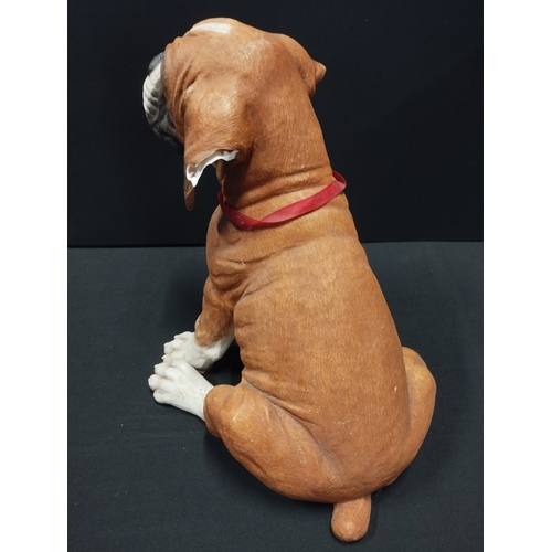 140 - Country Artists Puppy Love Sitting Boxer. Damaged Ear. Approx. 34cm High