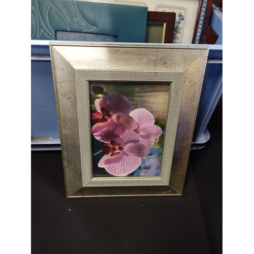 146 - Selection of Picture Frames with Pictures