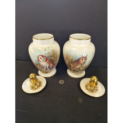 346 - A pair of Coalport hand painted Richard Budd N0.2 of 100 limited edition Owl lidded Vases. Excellent... 