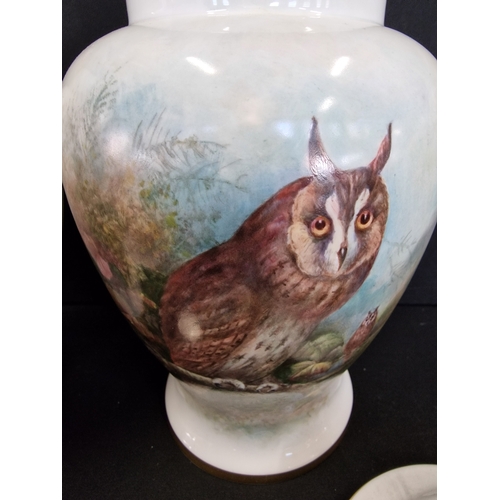 346 - A pair of Coalport hand painted Richard Budd N0.2 of 100 limited edition Owl lidded Vases. Excellent... 