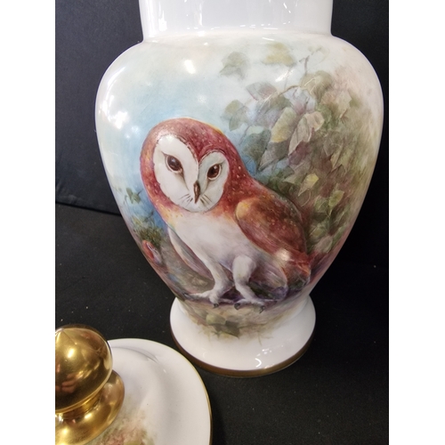 346 - A pair of Coalport hand painted Richard Budd N0.2 of 100 limited edition Owl lidded Vases. Excellent... 