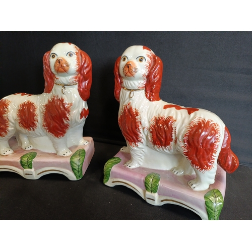 124 - 2 Rare Staffordshire Spaniel Dogs Approximately 25cm tall