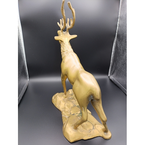 239 - Vintage large brass stag approximately 36cm in height