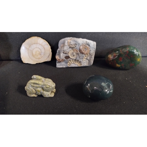 286 - Collection of fossils and crystals including Desert Rose, Malachite Dolphin and a selection of Ammon... 