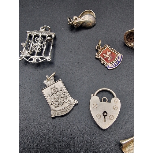 217 - A collection of various sterling silver charms.