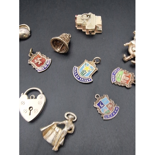 217 - A collection of various sterling silver charms.