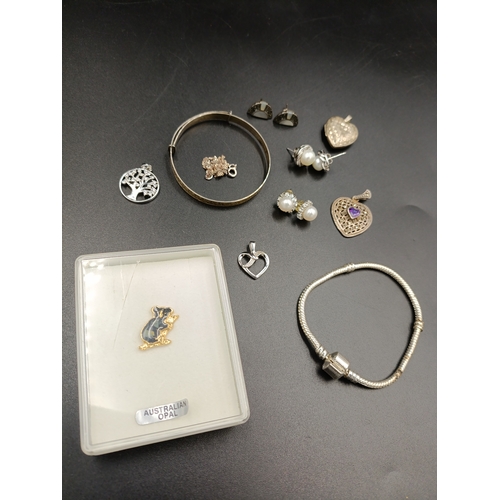 3 - Selection of ladies jewellery including mostly sterling silver, charm bracelet, earrings, pendants, ... 