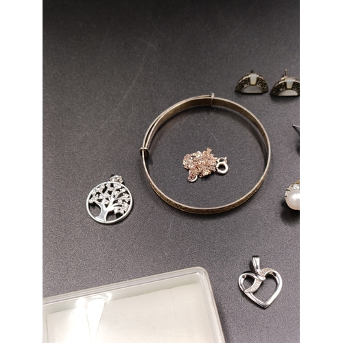 3 - Selection of ladies jewellery including mostly sterling silver, charm bracelet, earrings, pendants, ... 