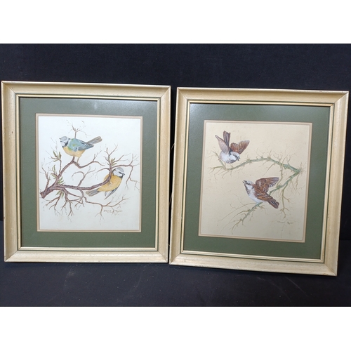 28 - 2 (two) 1982 original watercolour paintings of Blue Tits and Sparrows by Stuart Taylor. Approximatel... 