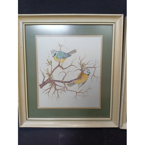 28 - 2 (two) 1982 original watercolour paintings of Blue Tits and Sparrows by Stuart Taylor. Approximatel... 